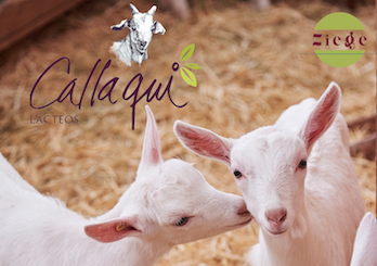 Lacteos Callaqui, quesos de cabra de autor con amor por la calidad se suma a GuiaHoreca.